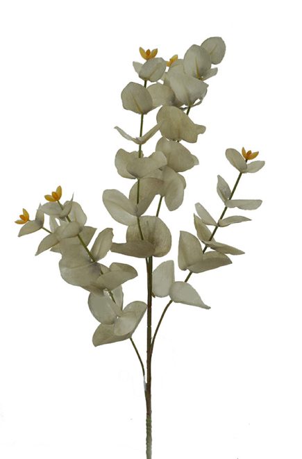 Dried Eucalyptus Stem 88cm