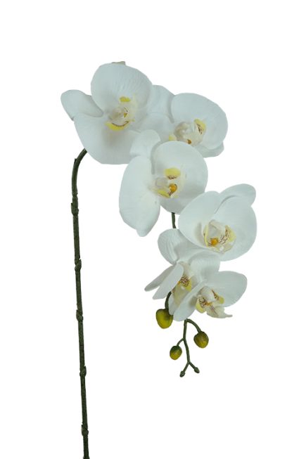 7H Real touch phalaenopsis orchid