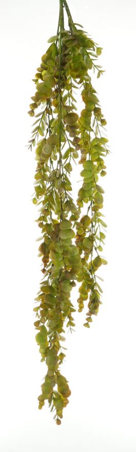 Eucalyptus Hanging Bush 78CM