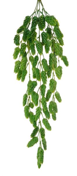 Hops Hanging Bush 74CM