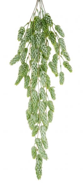 Hops Hanging Bush 74CM