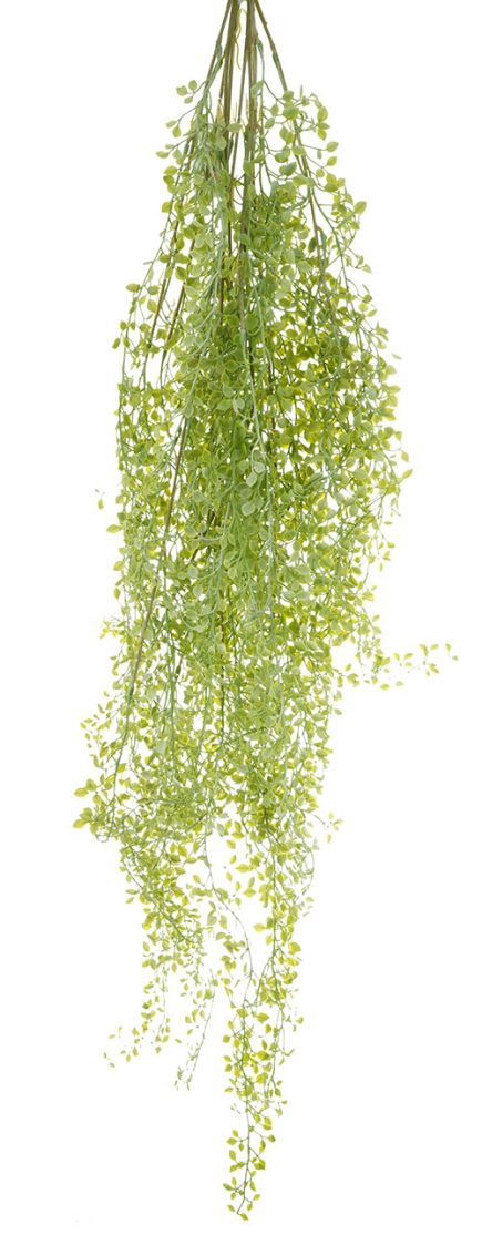 Angel Tears Hanging Bush 112CM