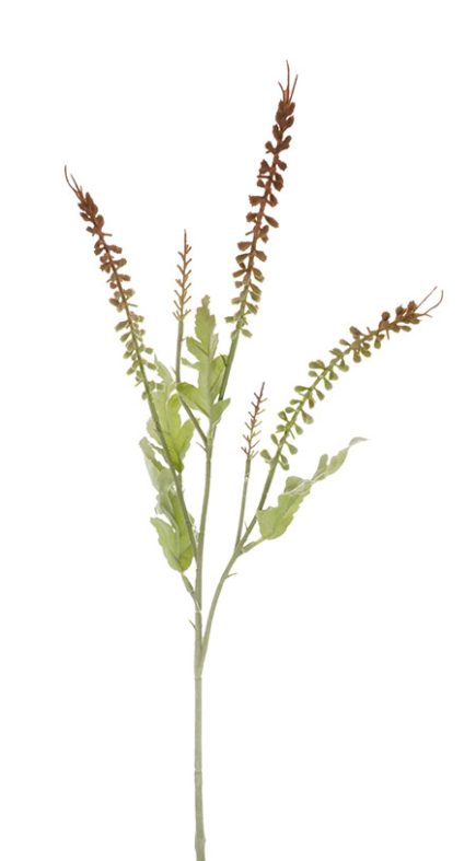 Melaleuca Bud Spray 73CM