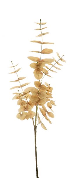 Eucalyptus Spray 88CM