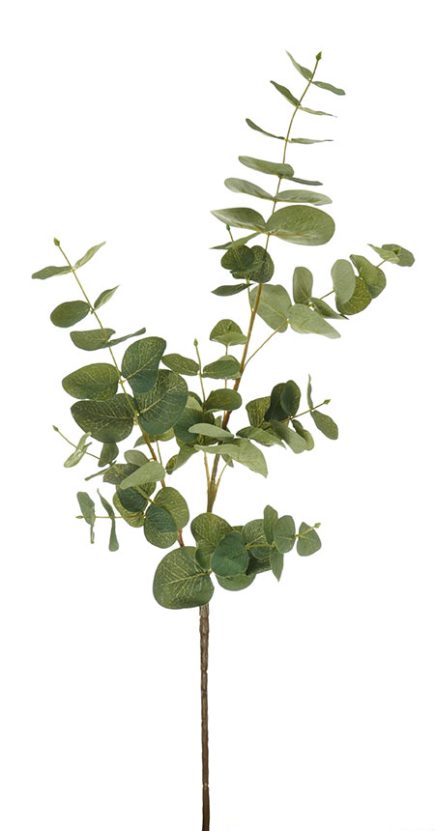 Eucalyptus Spray 88CM