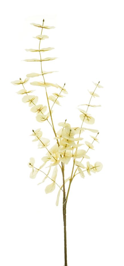 Eucalyptus Spray 88CM