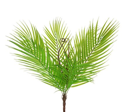 Palm bush 55CM