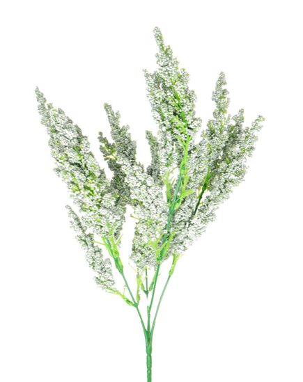 Reed Colour Bush 38CM