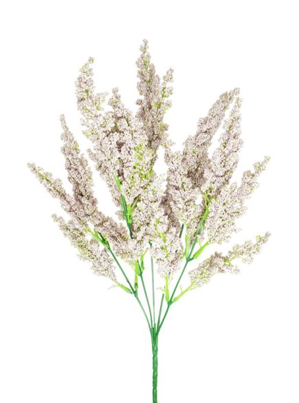 Reed Colour Bush 38CM