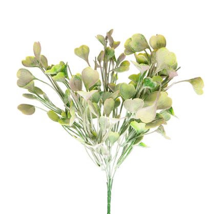 Heart Leaf Bush 37CM