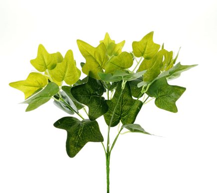 Ivy Bush 35CM
