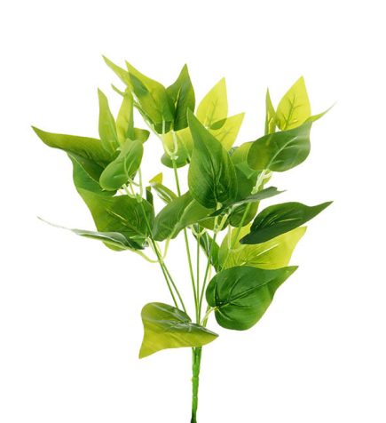 Jade Pothos Bush 35CM