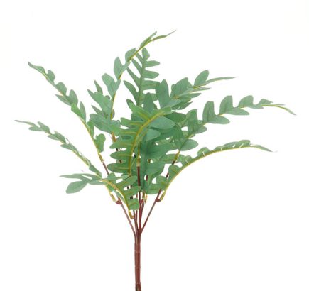 Fern Bush  36CM