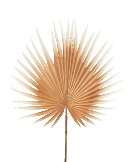 Fan Palm Spray 88CM