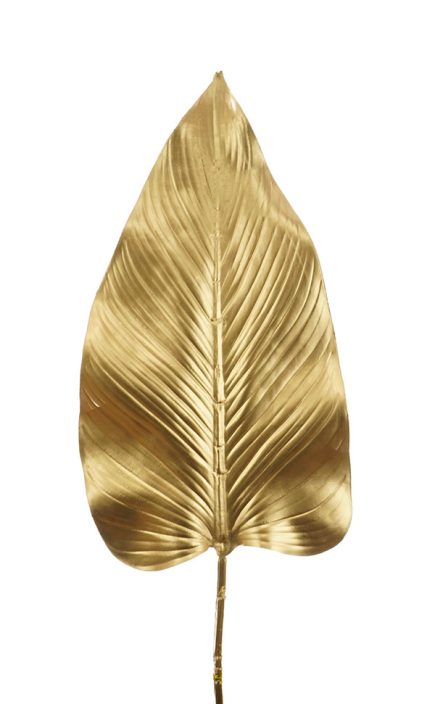 Gold Elephant Ear 88CM