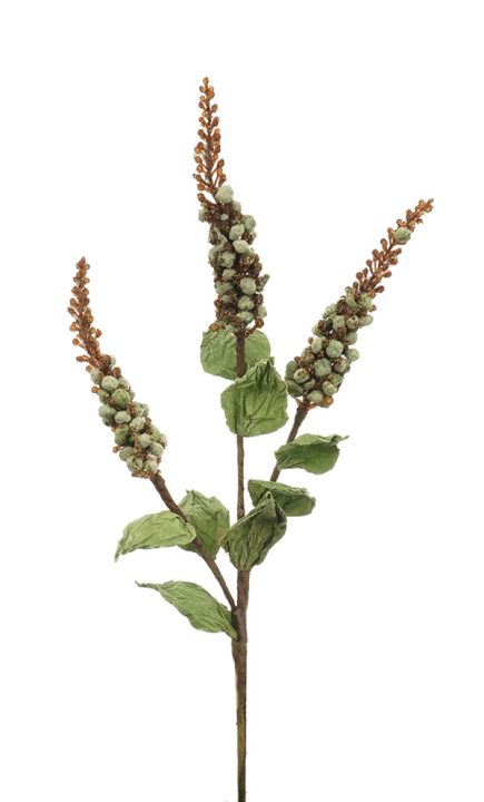 Dried Seeded Spray 46cm