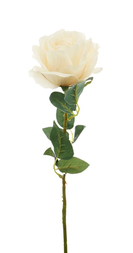 Autumn Rose Stem 75CM