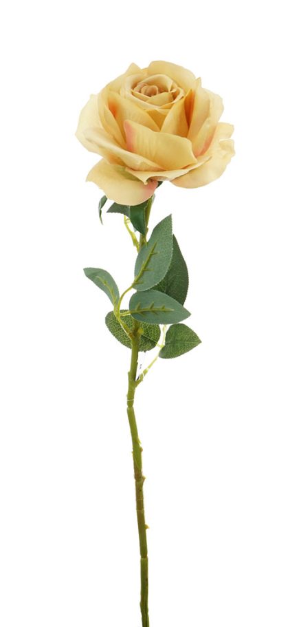 Autumn Rose Stem 75CM