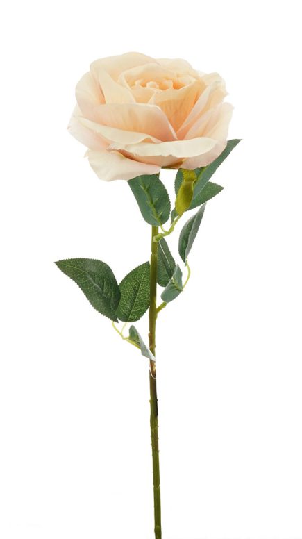 Autumn Rose Stem 75CM