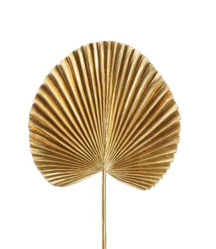 Golden Fan Palm Leaf 72CM