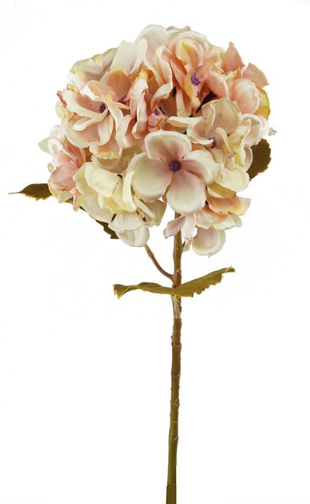 Dried Hydrangea 56CM