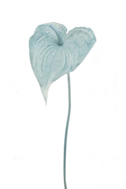 RT M Peace Lily 55CM