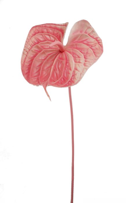 RT L Peace Lily 67CM