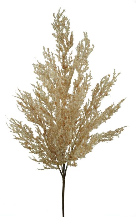 Dried Astilbe Stem 60CM