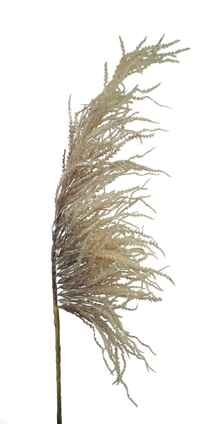 Pampas Stem 127CM
