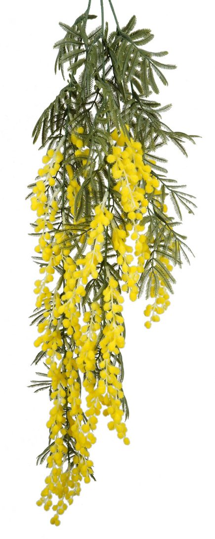 Hanging Wattle Bush 86cm