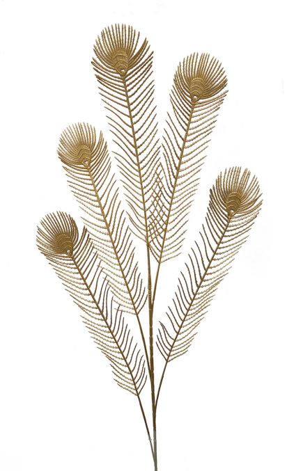 Peacock Feather 100CM