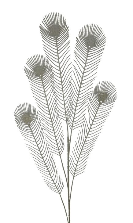 Peacock Feather 100CM
