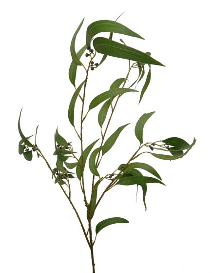 Gumnut Branch with Berries 104
