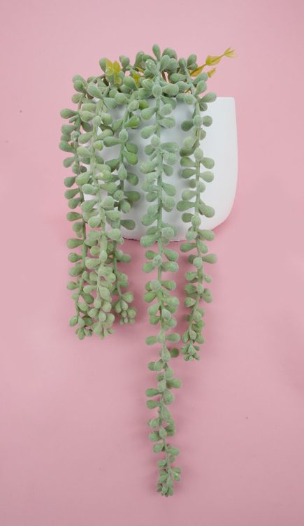 Potted stirng of pearls 36cm
