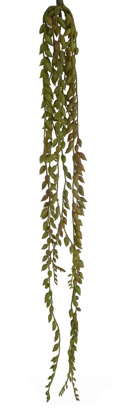 String of Pearls 67CM