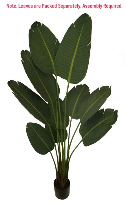 (Assembly required) Travellers Palm Tree 160CM