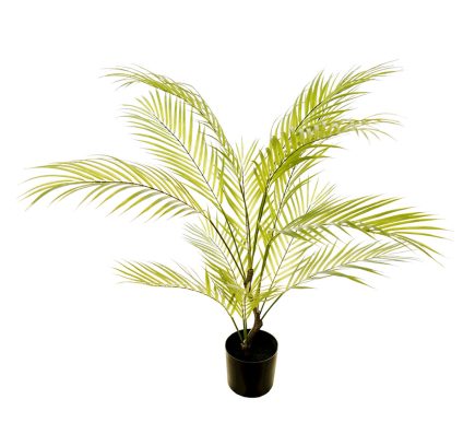 Areca Palm Tree 90CM