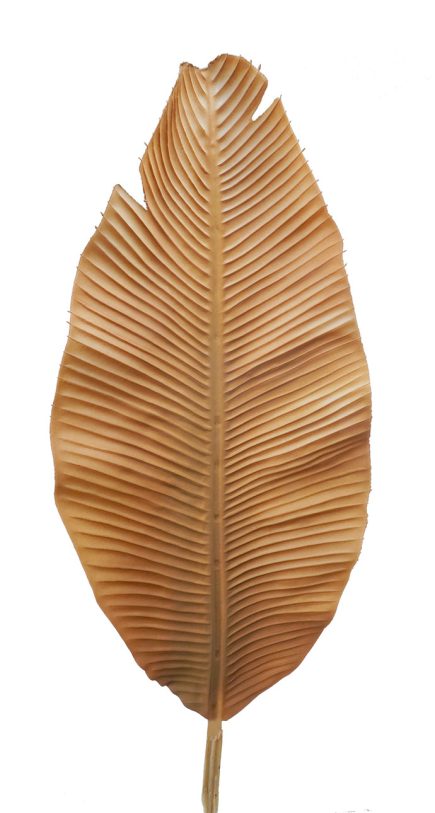 DL Banana Leaf 92CM