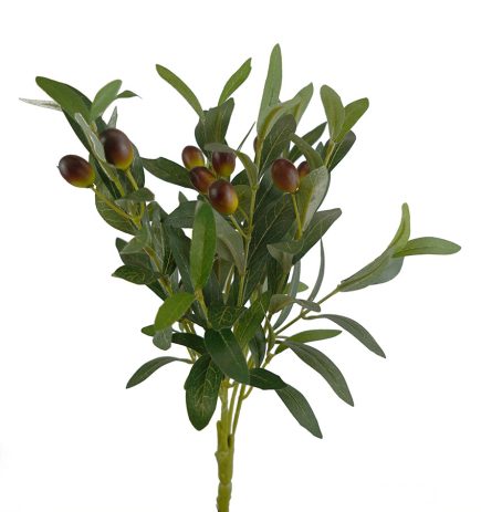 Olive Bush 40CM