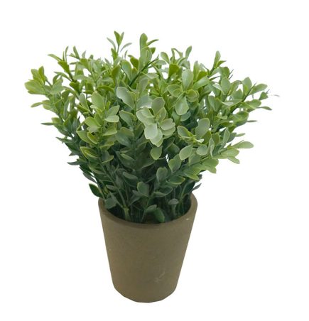Potted Herbs 23CM