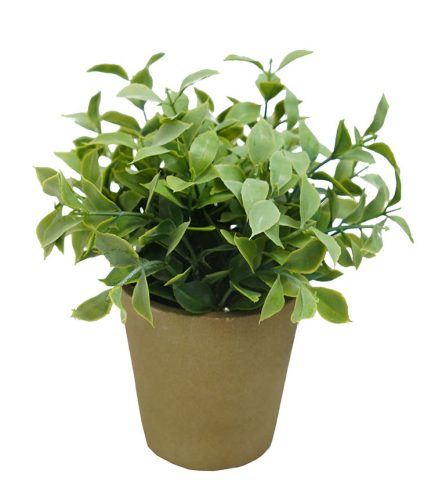Potted Plant 18CM