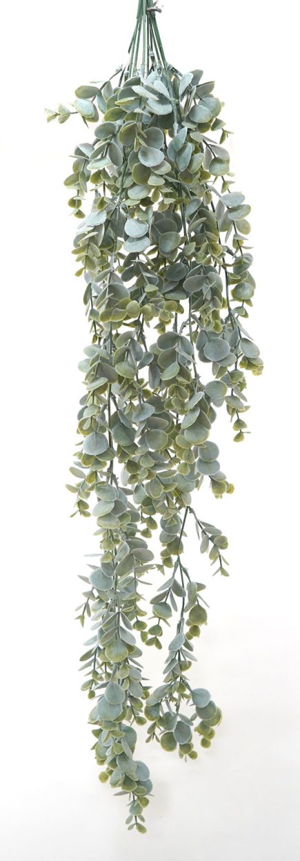 Eucalyptus Hanging Bush 85cm
