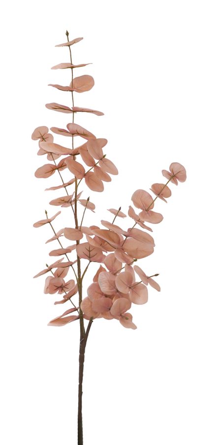 Eucalyptus Spray 88CM