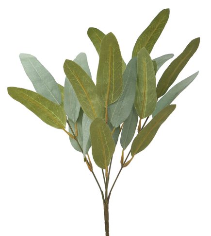 Gum Nut Bush 39cm