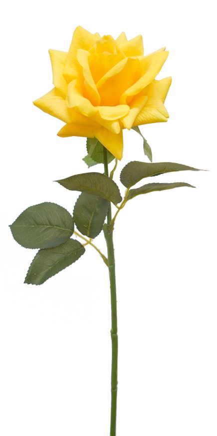 Real Touch Ecuador Rose 73cm