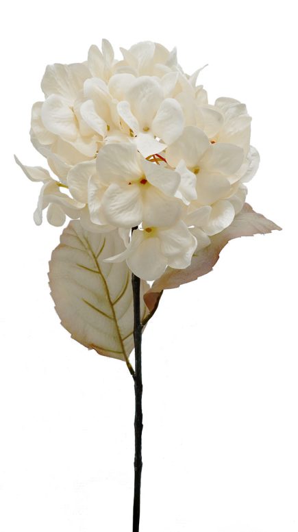Hydrangea Stem 70CM
