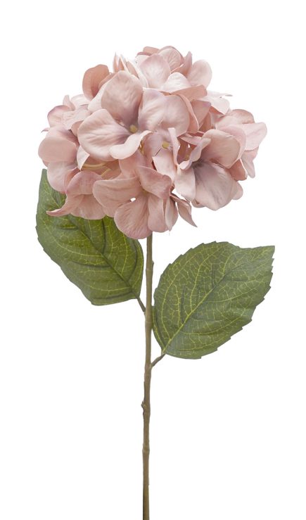 Hydrangea Stem 70CM