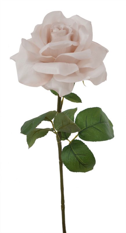 Holand Rose stem 67CM