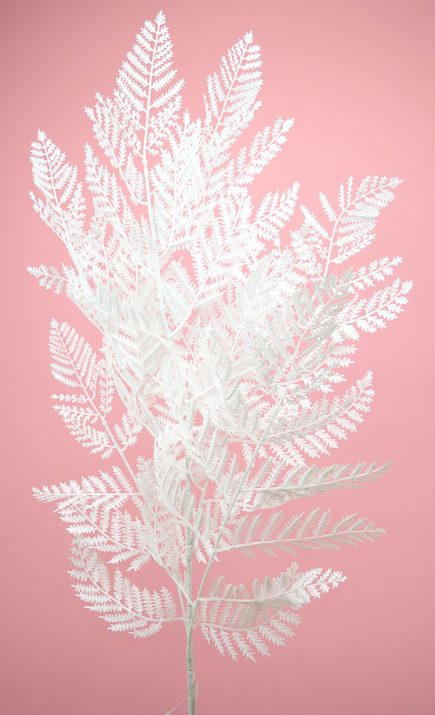 Fern Spray  104CM