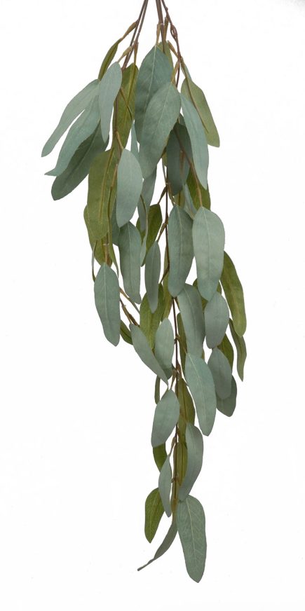 Gum Nut Hanging Bush 72cm